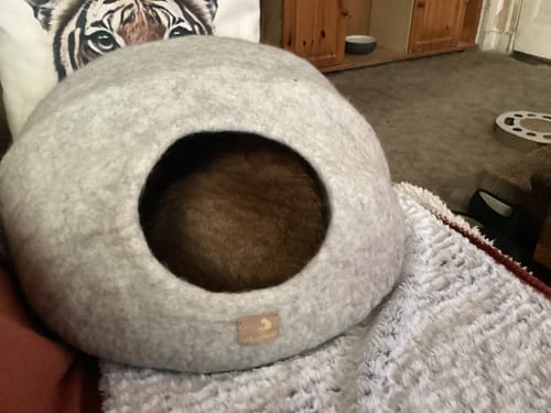 Customer photo review of Premium