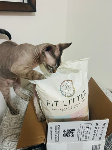 Customer photo review of 3 Month Supply - 1 Cat