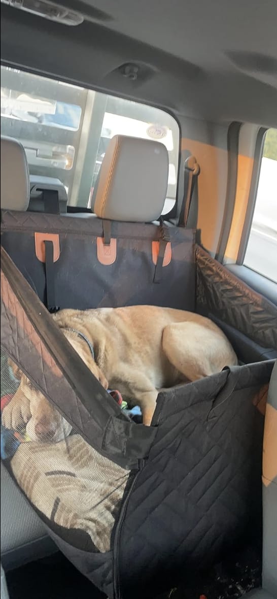 Customer photo review of Single Travel Seat