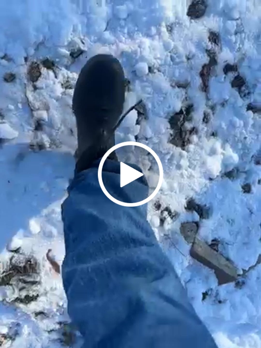 Customer video review of NISEKO 3.0 LOW