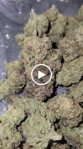 Customer video review of White Runtz - Bulk - Hybrid