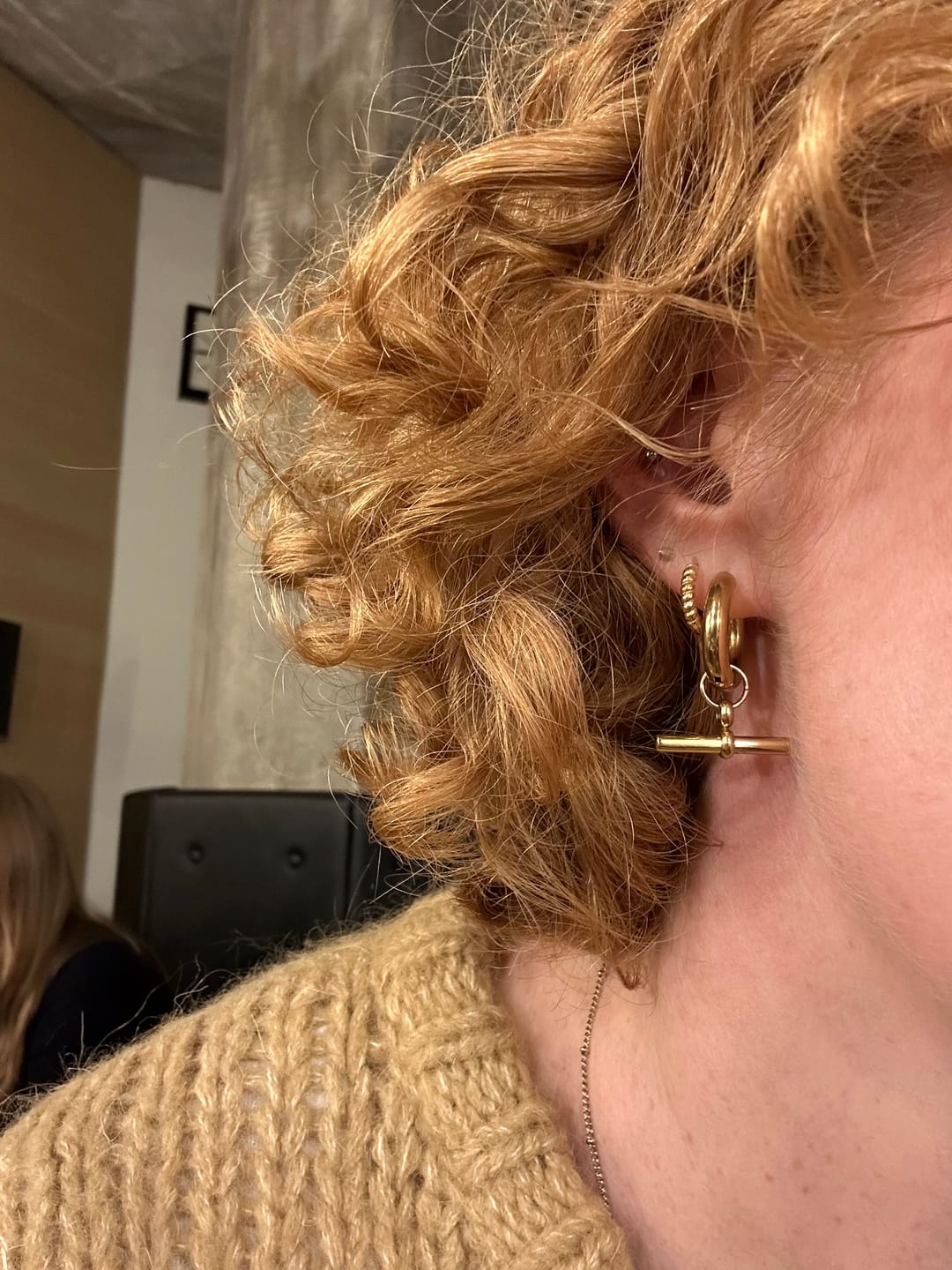 Customer photo review of T-Bar hoops