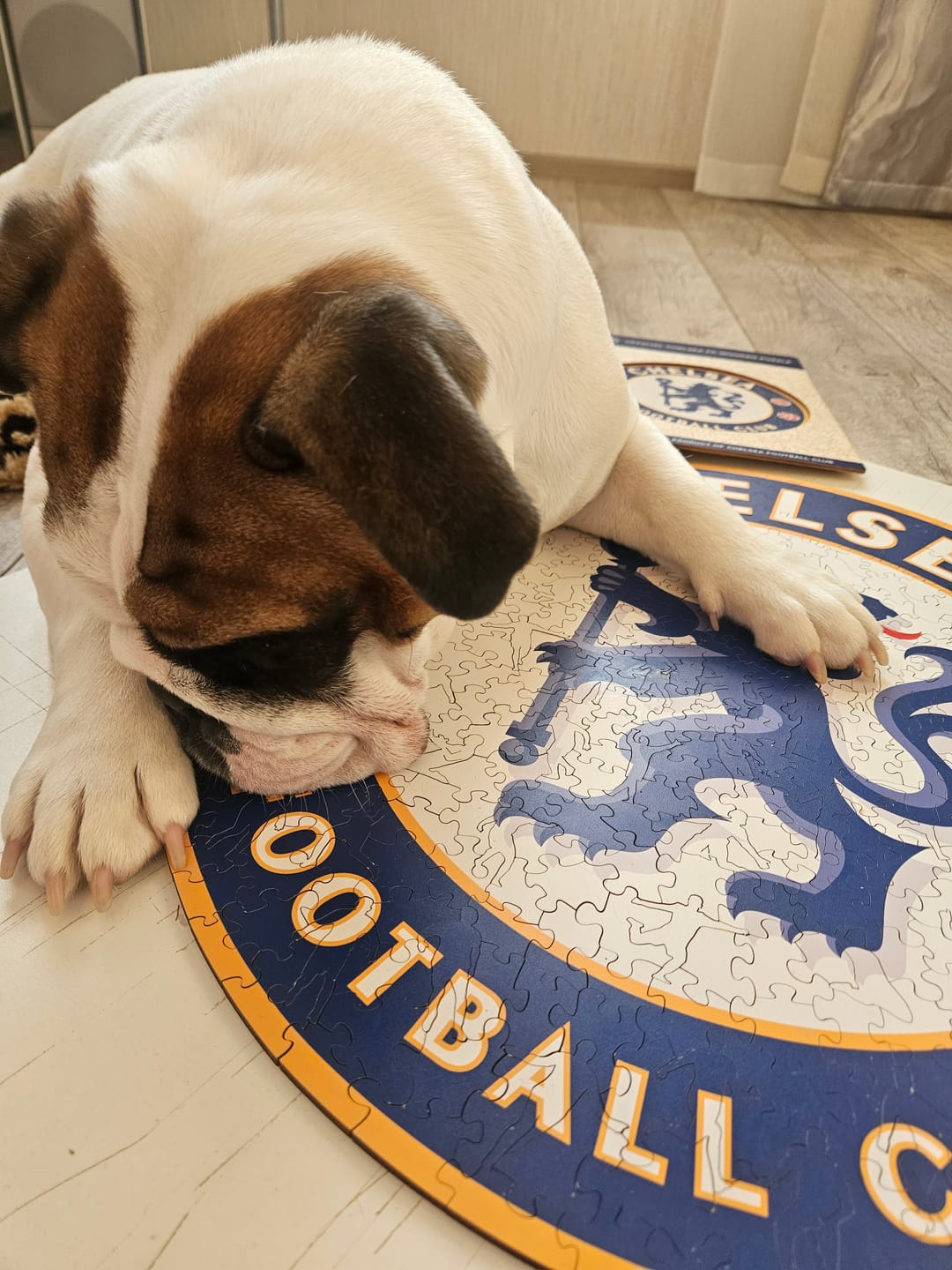 Customer photo review of Chelsea FC® Logo - Wooden Puzzle