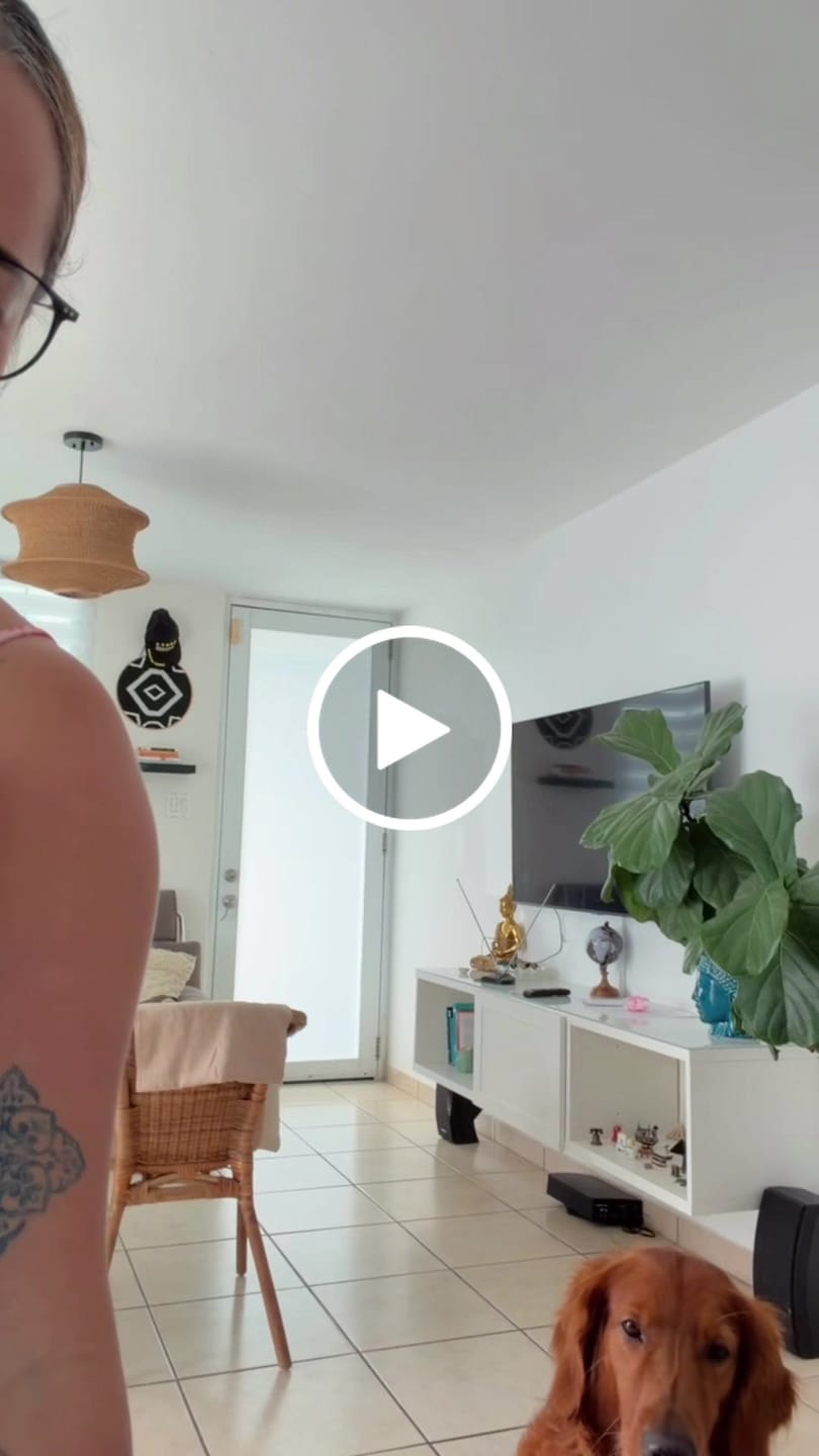 Customer video review of Sweetheart Handsfree Walking Bundle