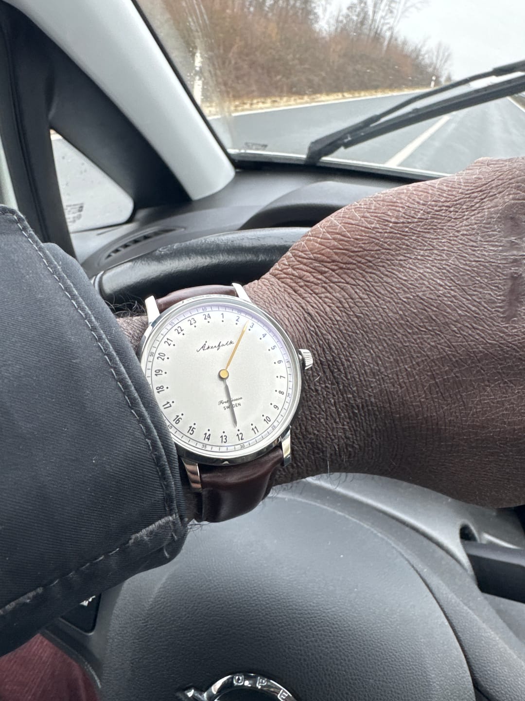 Customer photo review of First Season Silver White with Brown Leather