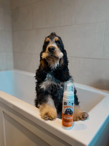 Customer photo review of Pre, Post + Probiotic No Rinse Shampoo