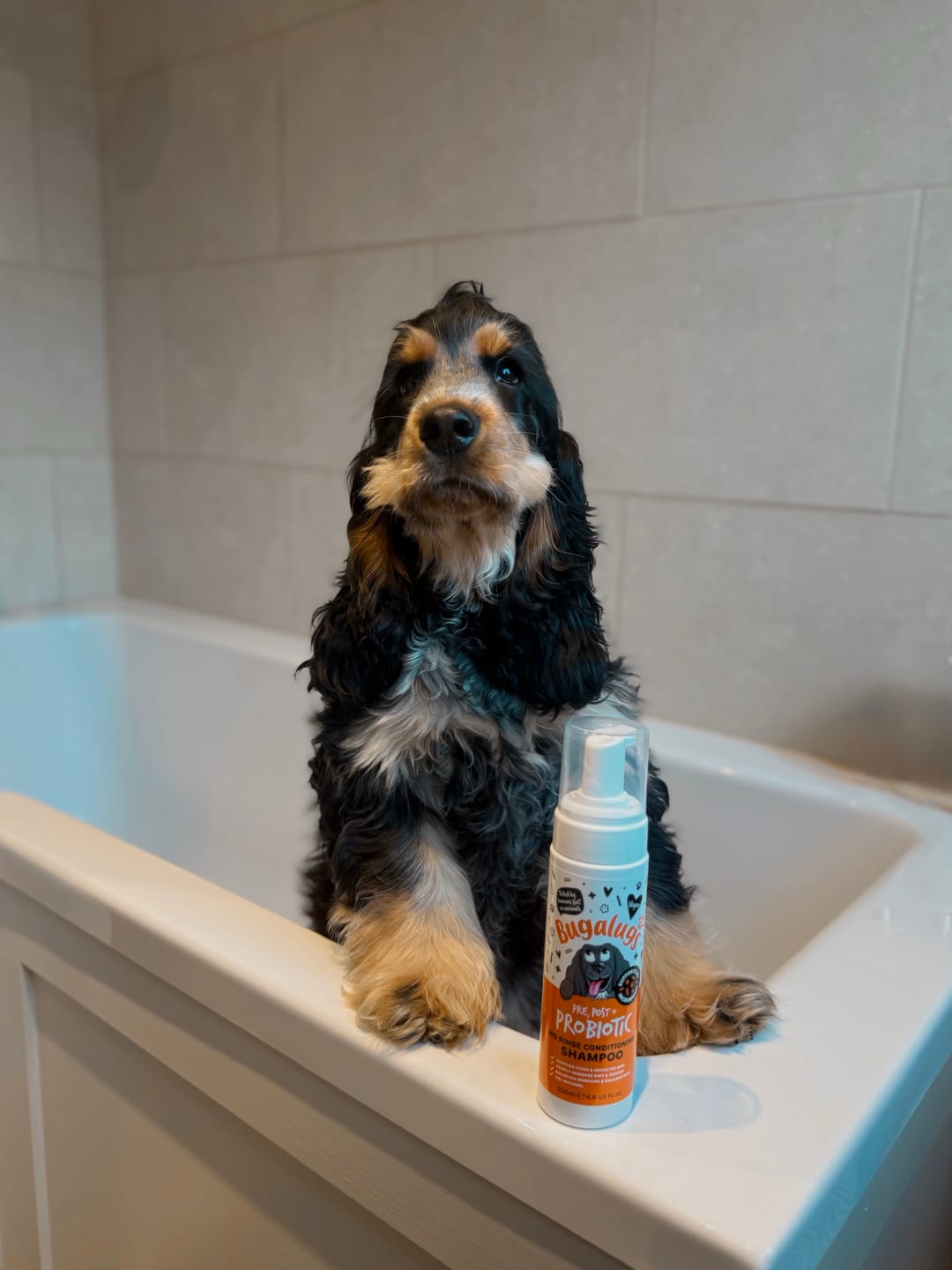 Customer photo review of Pre, Post + Probiotic No Rinse Shampoo