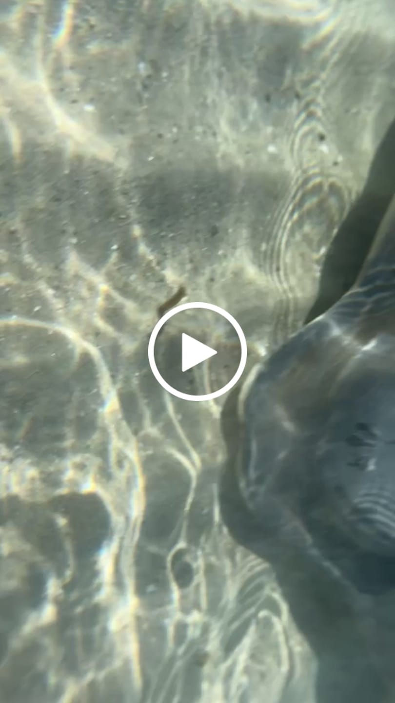 Customer video review of Hermetic Waterproof Phone Case - Dry Pouch Medium