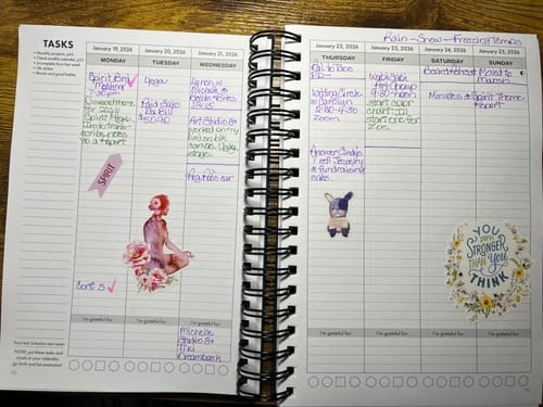 Customer's 2026 Dreambook + Planner open to a weekly view, filled with handwritten appointments and decorative stickers.