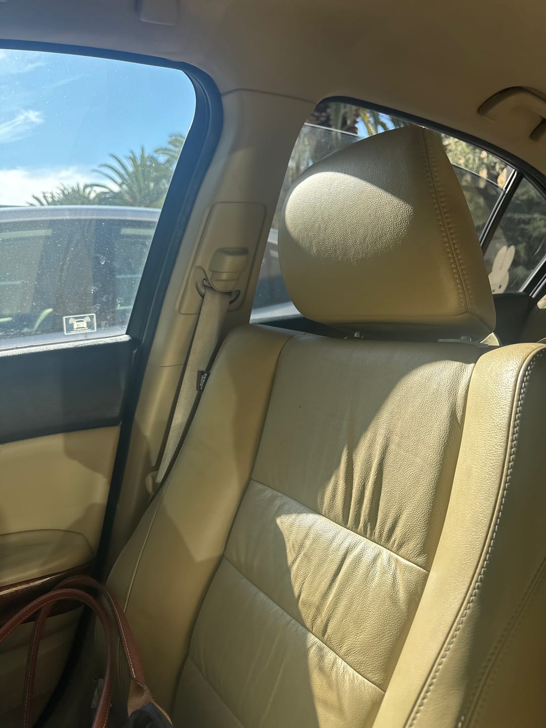 Customer photo review of +Soap Interior Detail Spray