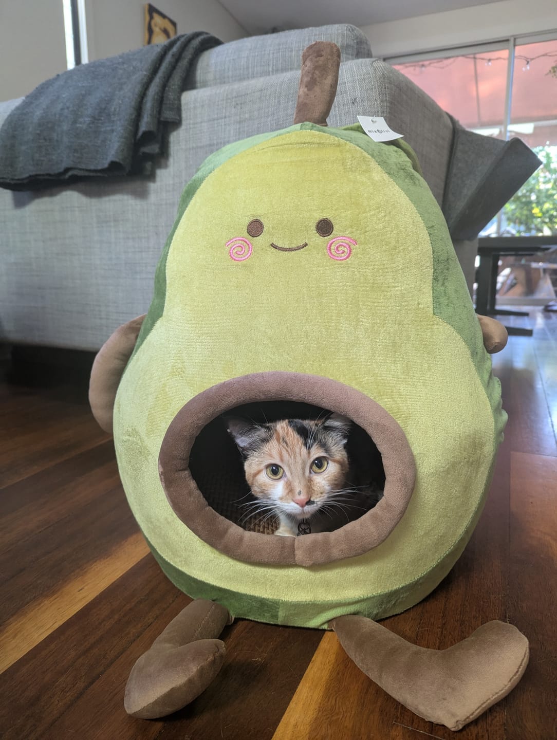 Customer photo review of Cartoon Plush Cat Cave – Capybara & Avocado-Inspired Soft Pet Bed Hideaway