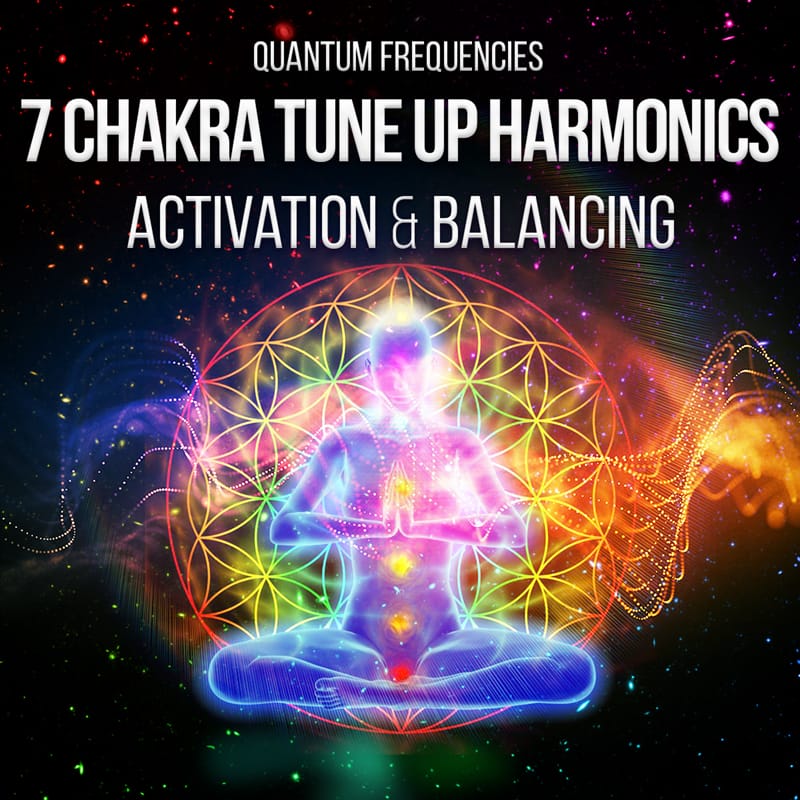 Customer photo review of 7 Chakra Tune Up - Activation And Balancing +354% Extra Value