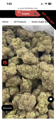 Customer photo review of White Gelato Minis - Bulk Minis - Indica