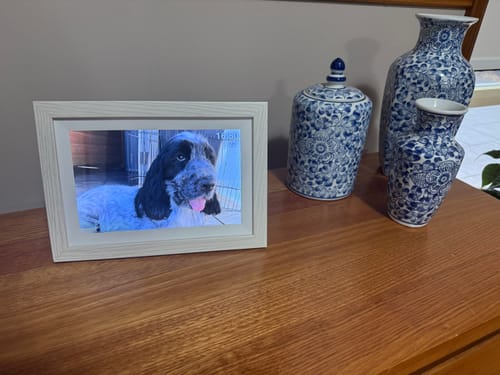 Customer photo review of Digital Photo Frame