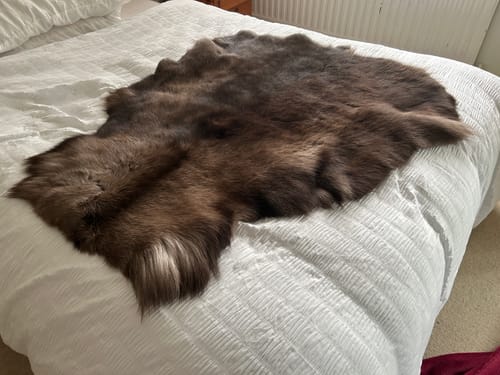 Customer photo review of Shipping Protection