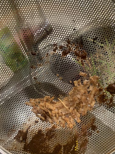 Customer photo review of Pistachio & Chocolate Frozen Treat - NEW