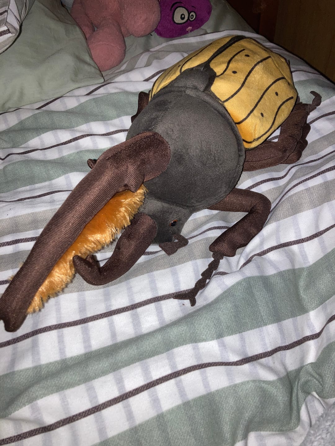 Customer photo review of Hercules Beetles Soft Stuffed Plush Toy