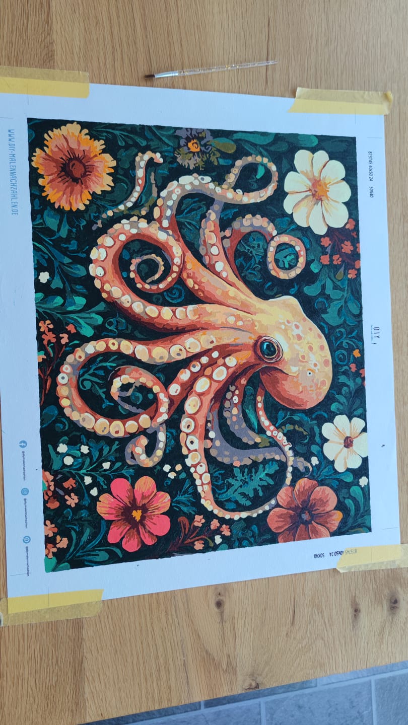 Customer photo review of Malen nach Zahlen - Oktopus