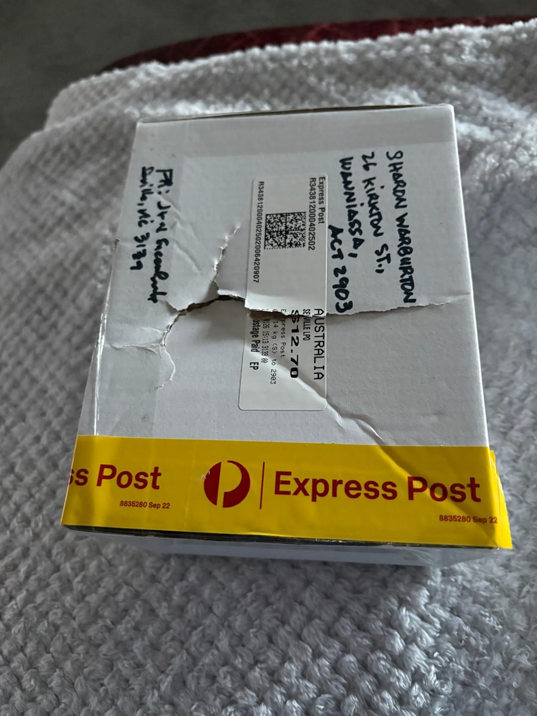 Customer photo review of Pleispilos 'Split Rock'