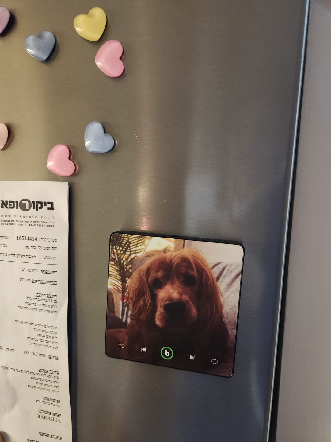 Customer photo review of מגנט מוזיקה אישי - עיצוב קלאסי