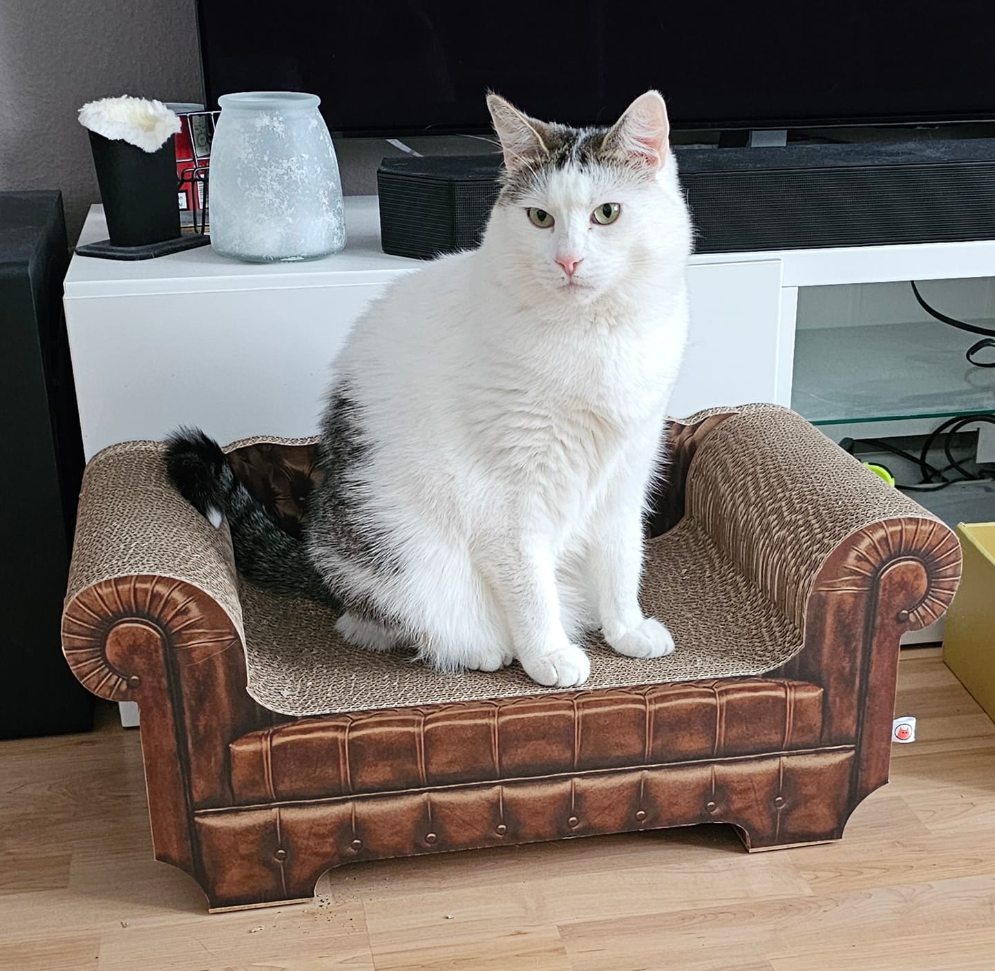 Customer photo review of LöwenLounge