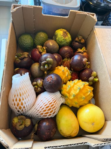 Ein Kunde zeigt den Inhalt seiner Mangostan Aktionsbox: viele frische Mangostane und anderes tropisches Obst.