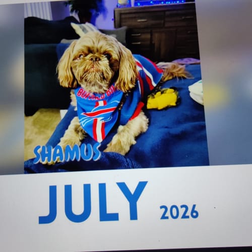 Customer photo review of Official Pupvote Cutest Pets of the Year Calendar (2026)