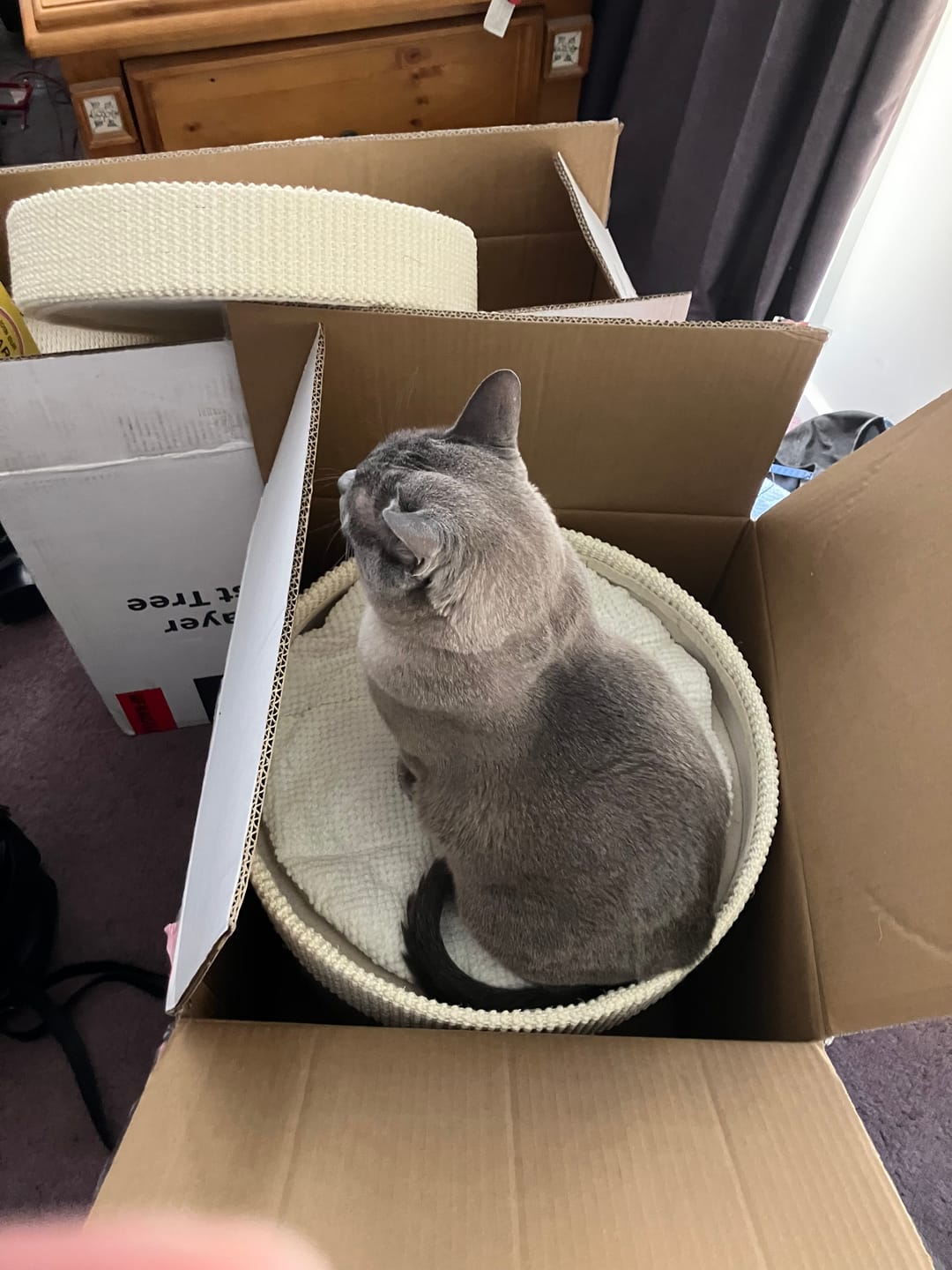 Customer photo review of Michu Luna Multi-Layer Solid Wood Cat Nest Tree