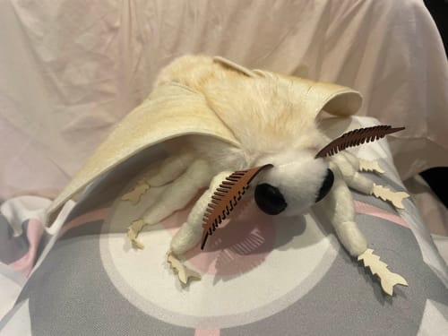 Customer photo review of Realistic Domestic Silk Moth Plush – Soft, Lifelike, and Perfect for Nature Lovers