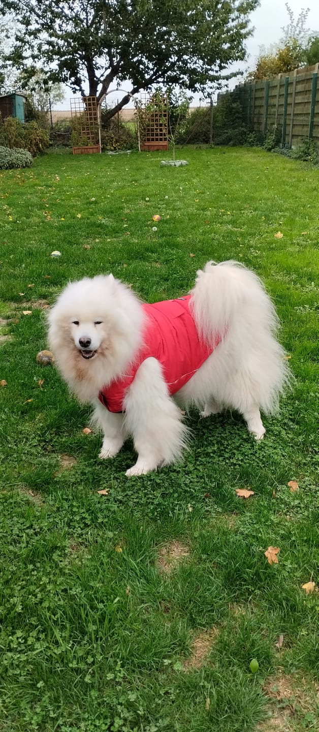 Customer photo review of WarmShield Water-Resistant Jackets