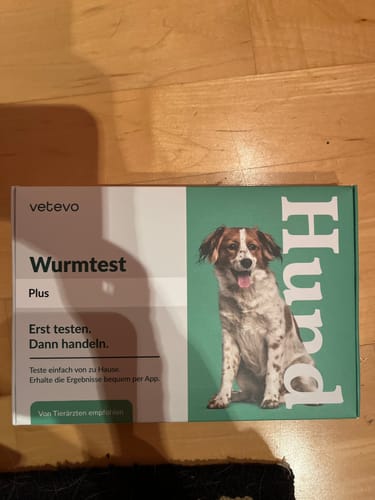 Ein Kunde zeigt die grün-weiße Schachtel des Wurmtest Plus Hund auf einem Holzboden.