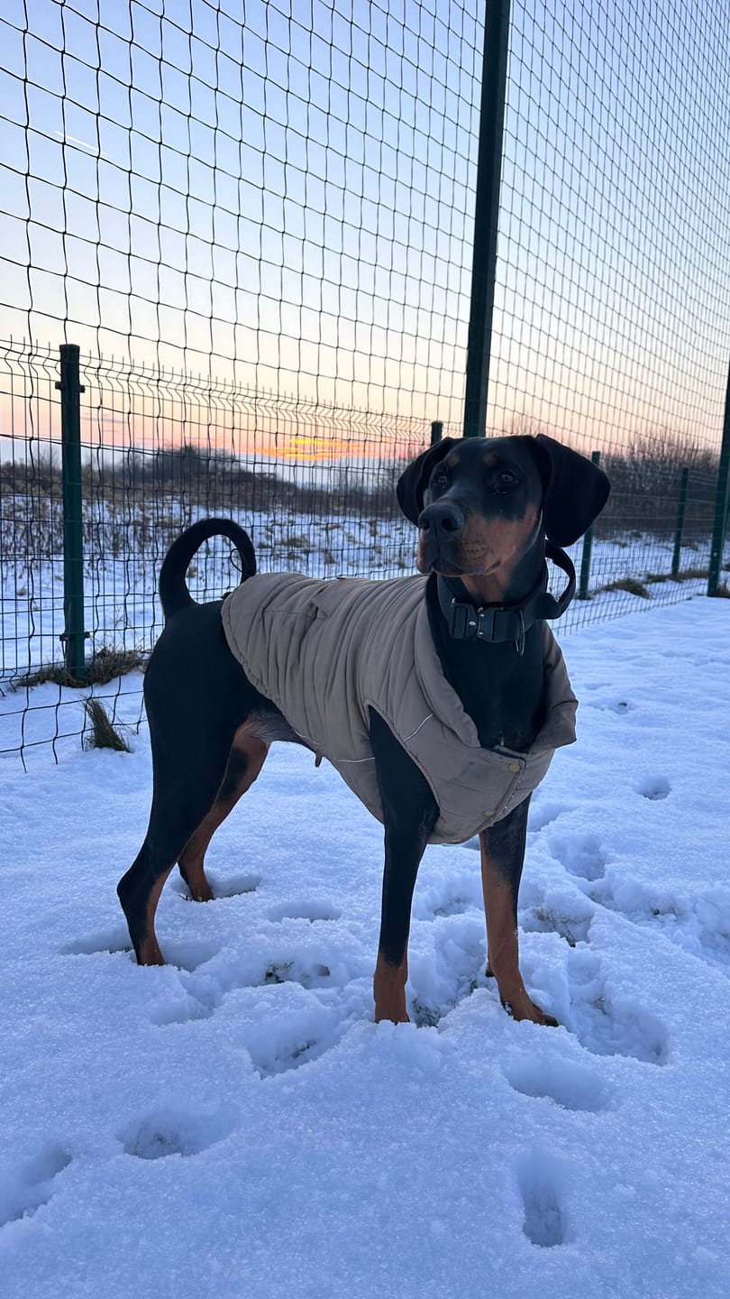 Customer photo review of WarmShield Water-Resistant Jacket - Tan