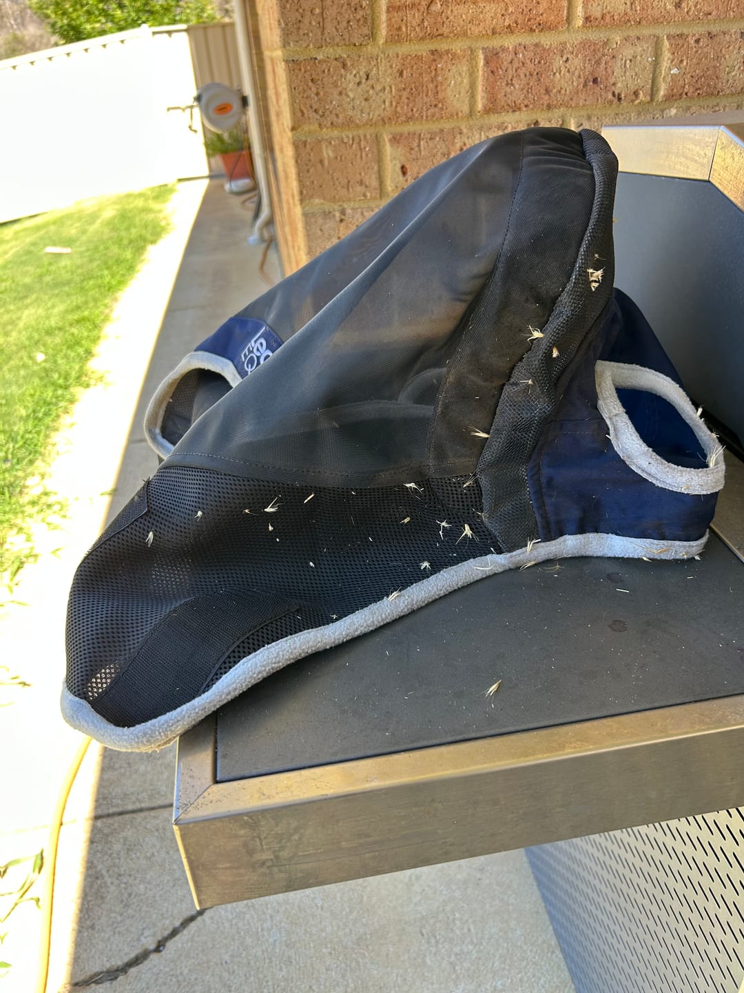 Customer photo review of LE Outback Flymask Original
