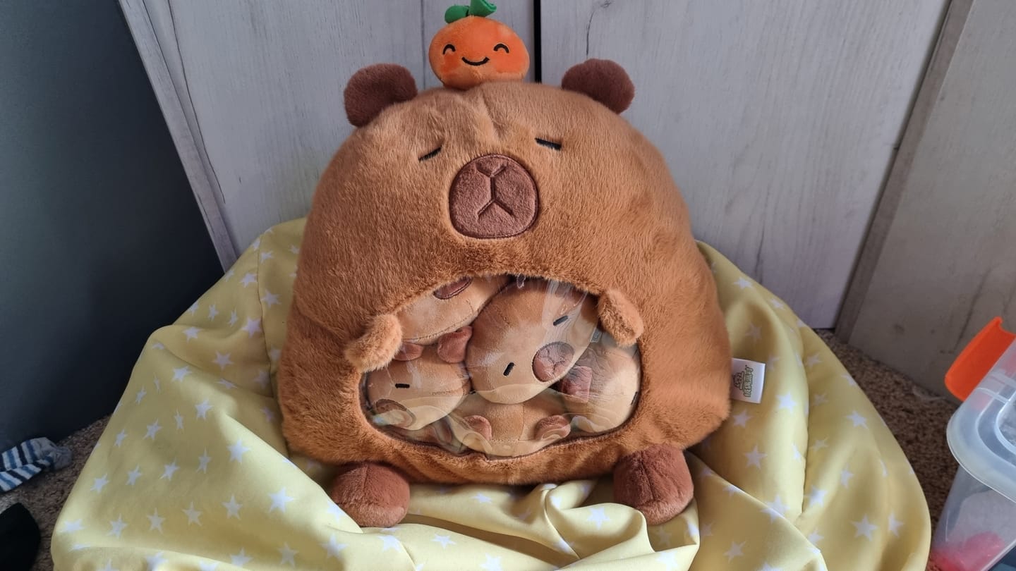 Customer photo review of Animal Plushie Bag
