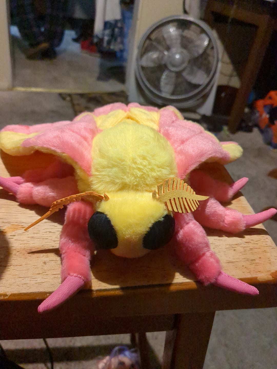 Customer photo review of Rosy Maple Moth Soft Stuffed Plush Toy