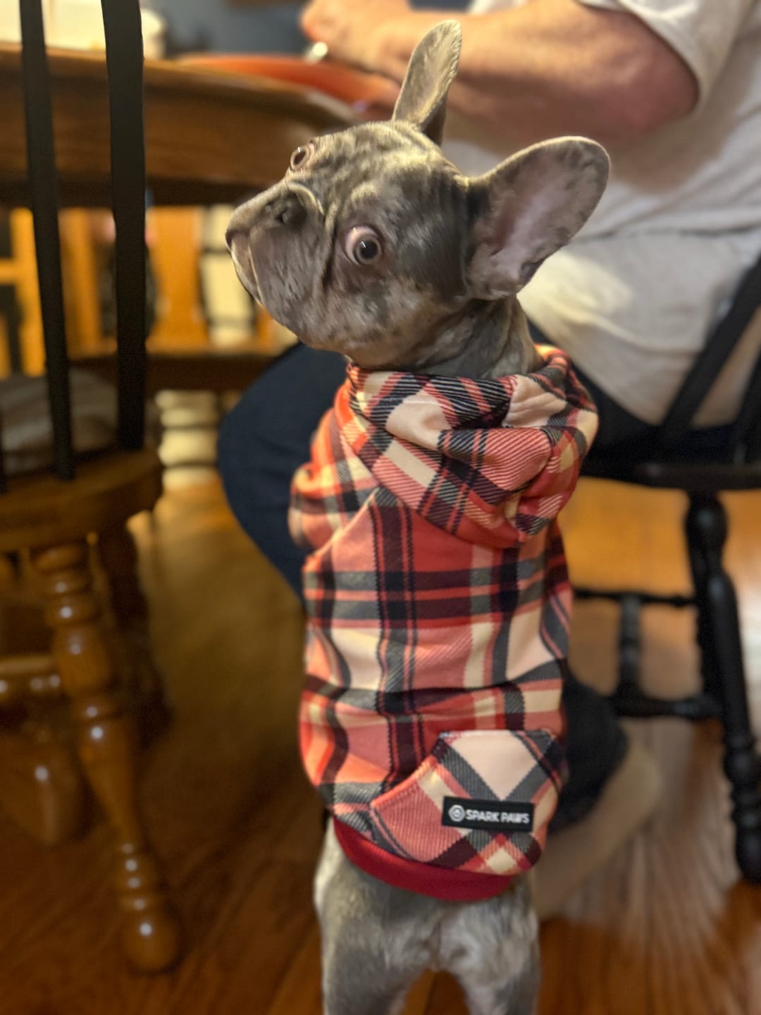 Customer photo review of Red Plaid Human Hoodie