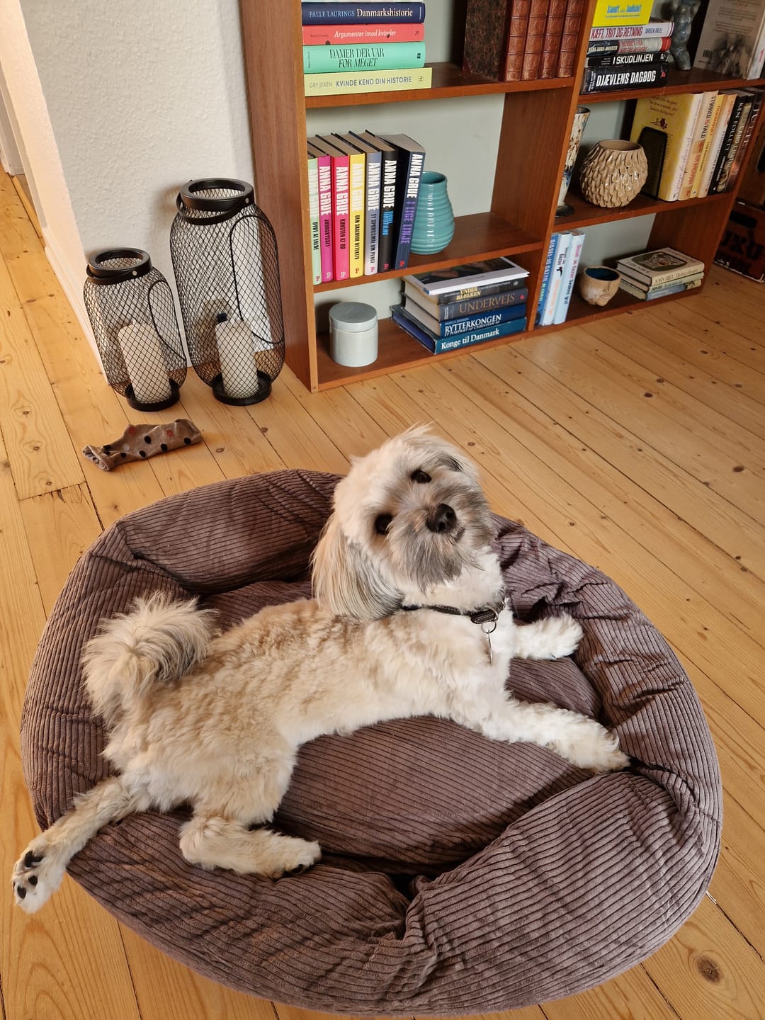 Customer photo review of Staey - Luna 3.0 Hundeseng, Taupe Fløjl