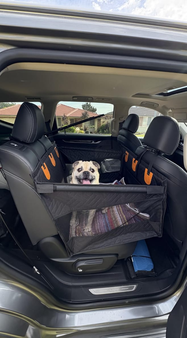 Customer photo review of Single Travel Seat