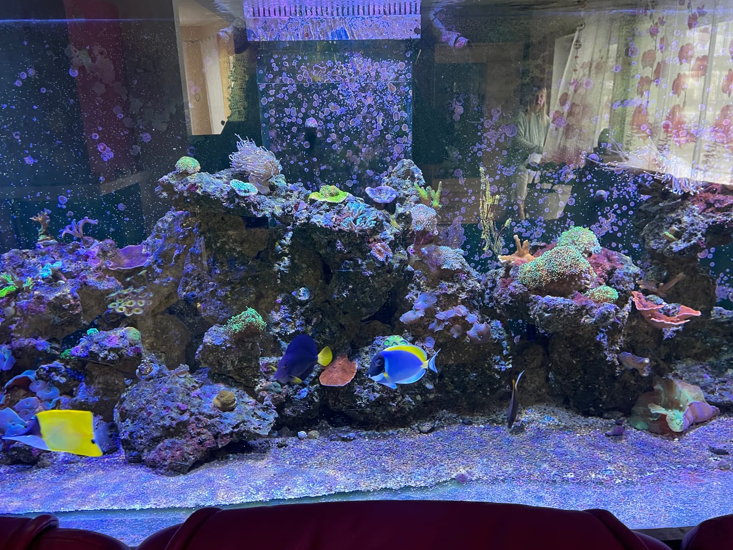 Customer photo review of Aqua marina professionel-marine bio organic Salt 20 kg