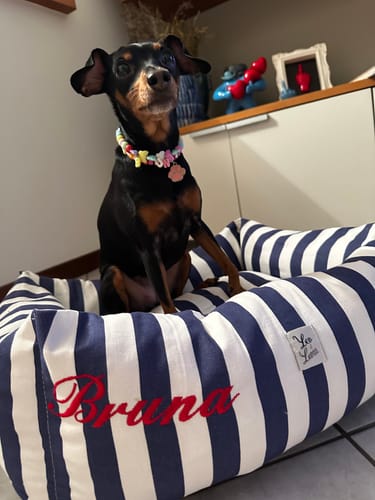 Customer photo review of Divanetto Cotone Premium Righe Larghe Navy