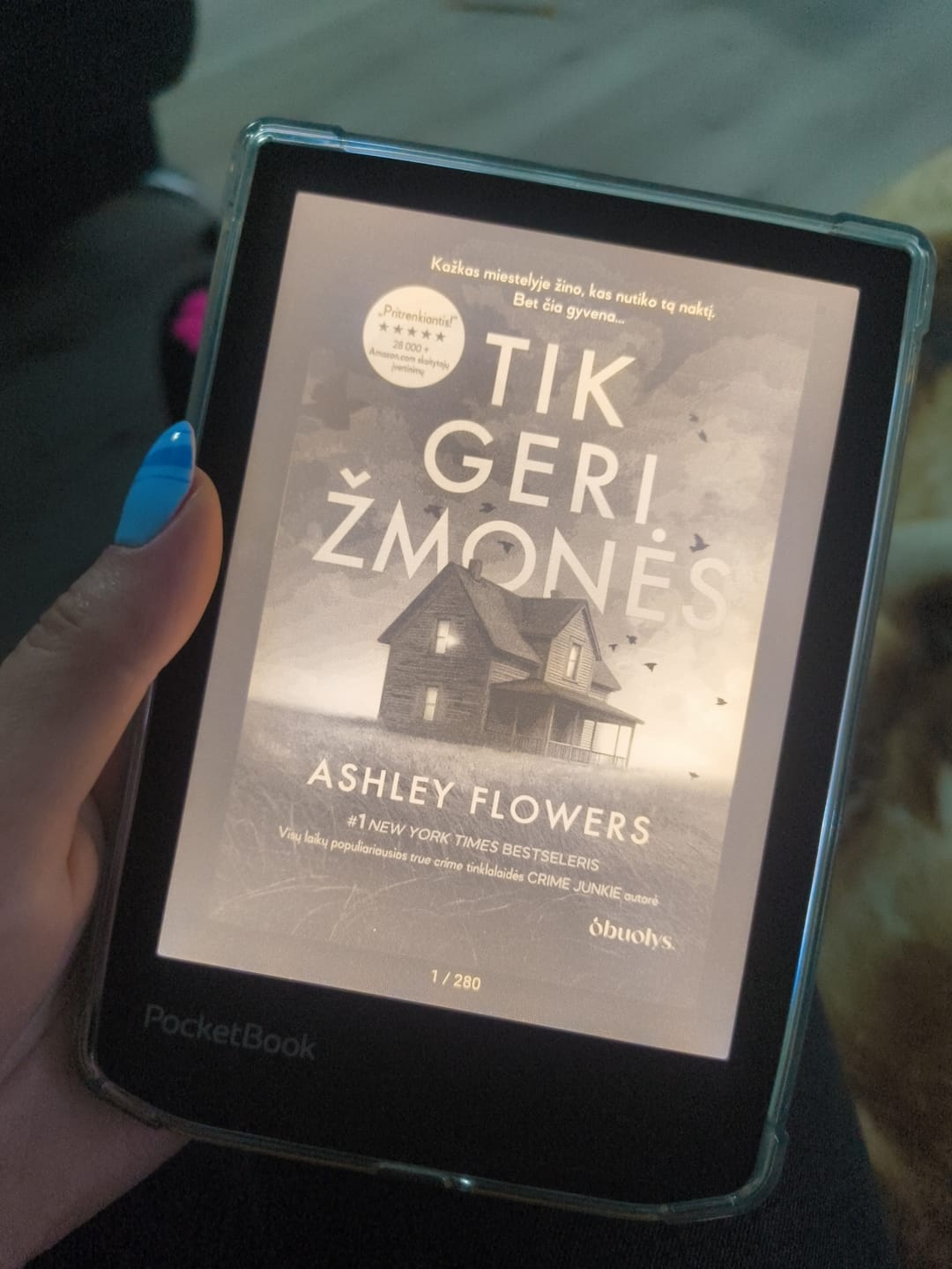 Customer photo review of E-knyga Tik geri žmonės: atsisiųskite akimirksniu ir skaitykite iš karto!