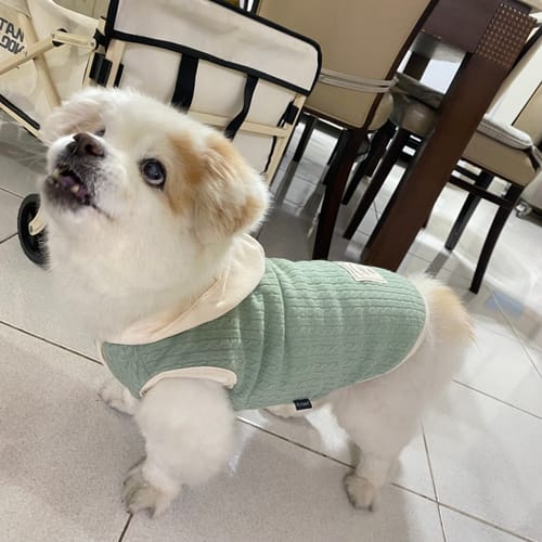 Customer photo review of PETTRIP 連帽毛衣背心