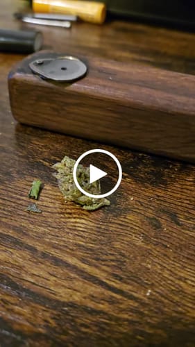 Customer video review of Indoor Micros