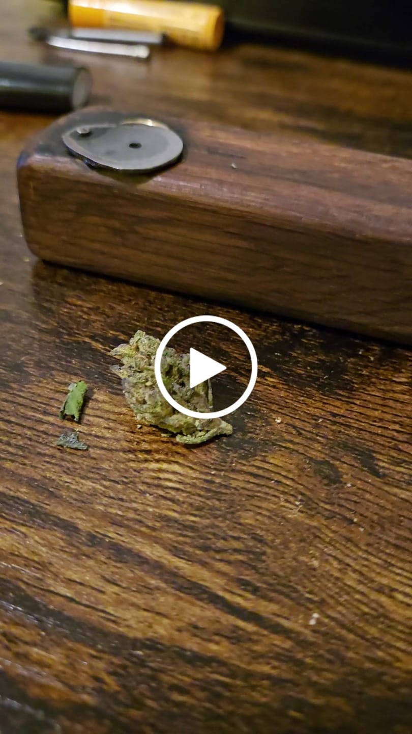 Customer video review of Indoor Micros