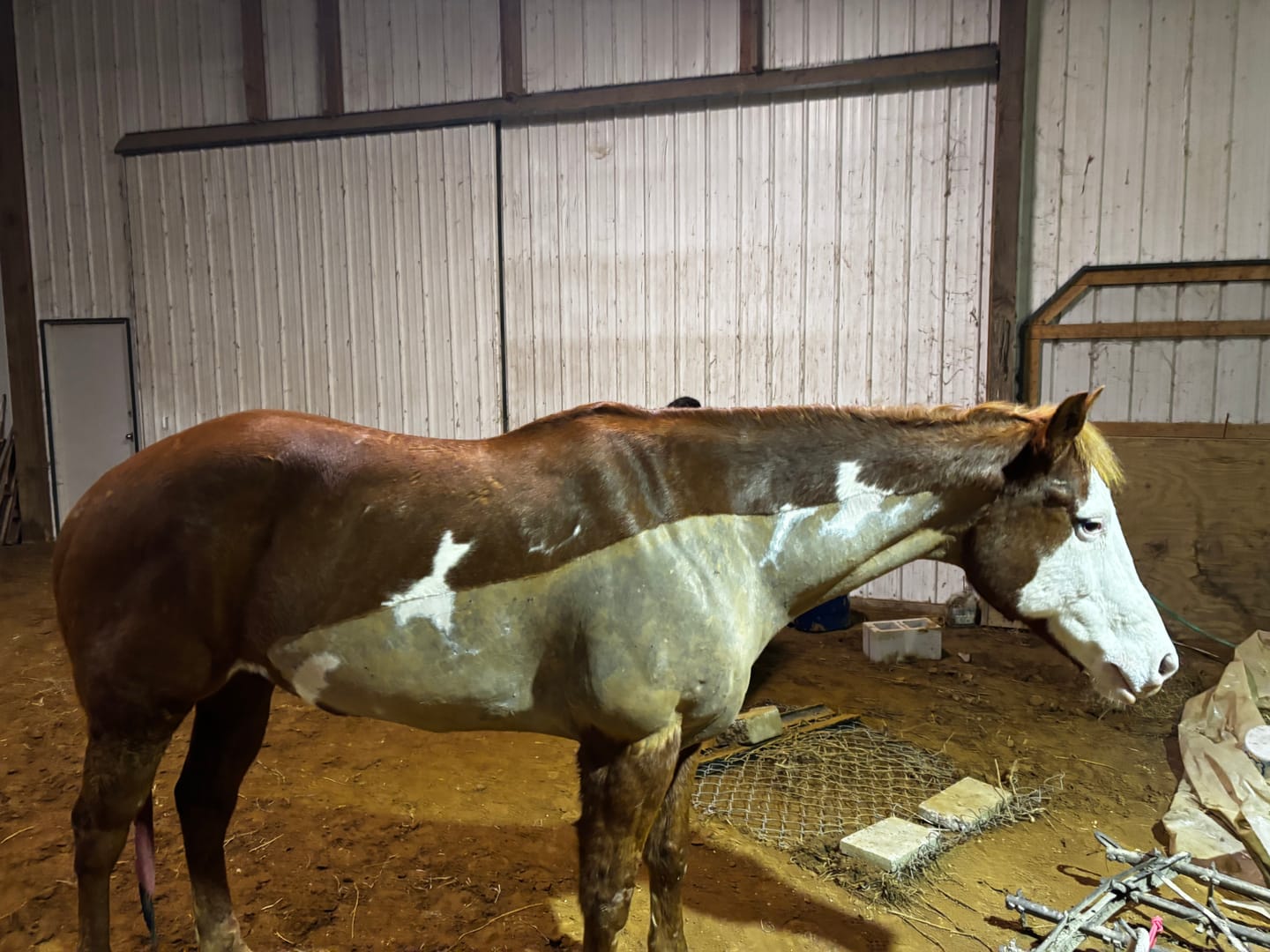 Customer photo review of Horseman's Elite® Ultra Fat