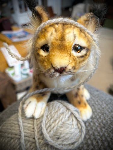 Customer photo review of Iberisk Gaupe Kosedyr | Hansa Creation