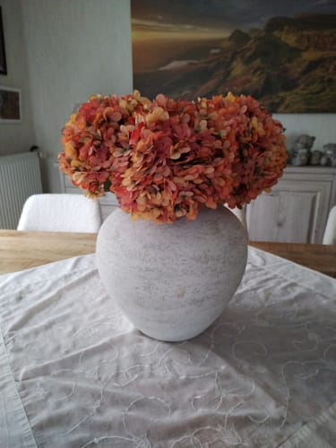 Customer photo review of Sena Vase - Blanc