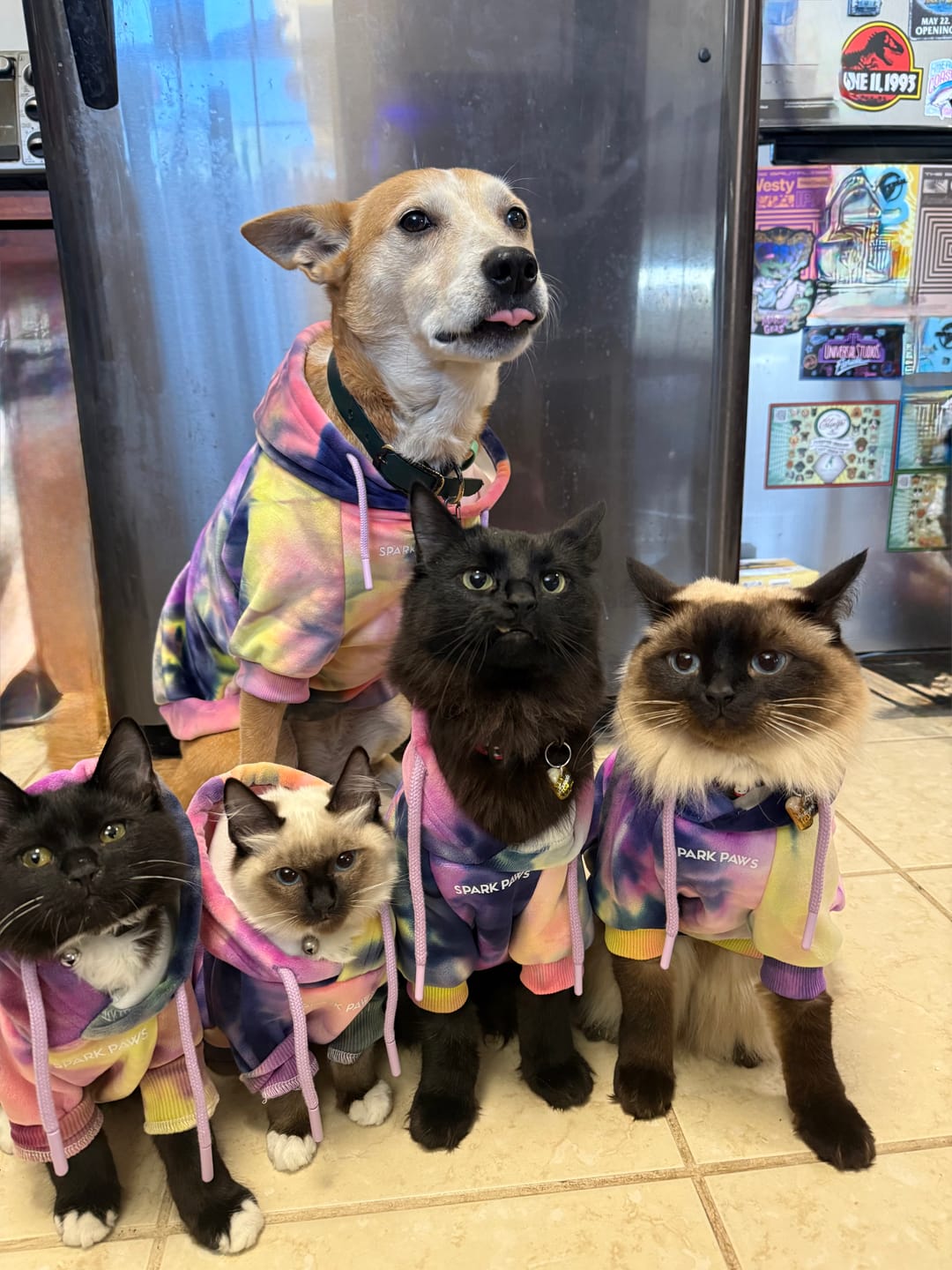 Customer photo review of Velvet Dog Hoodie - Berry Lemonade