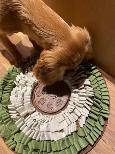 Customer photo review of Snuffle Mats - Round with Lick Pads