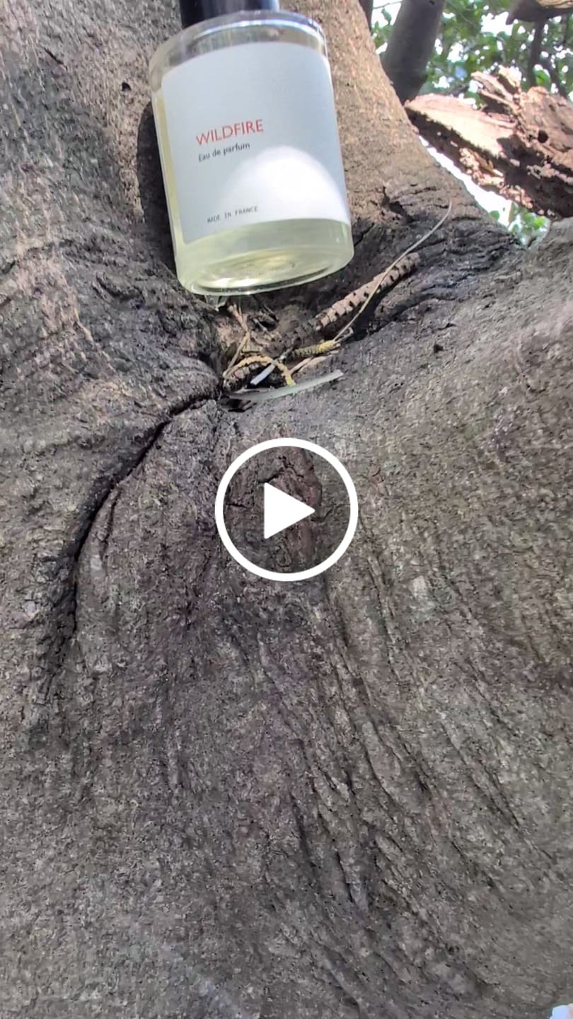 Customer video review of Wildfire